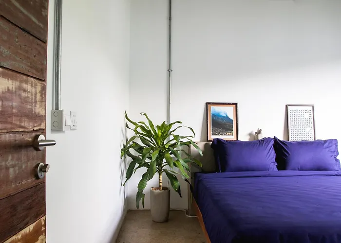 Apartament Takak