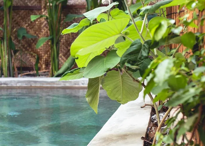 Takak Apartament Siem Reap