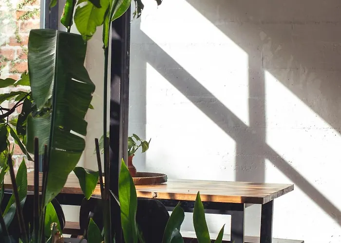 Apartament Takak